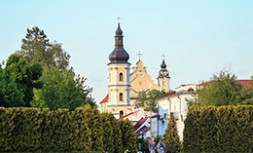 City Belarus Pinsk 5