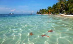 Club-Elsewhere-Stories-for-and-by-the-world-curated-by-Rosie-Bell-The-San-Blas-Islands-Panama-Wishing-on-a-star-Starfsih-beaches-2-min.jpg