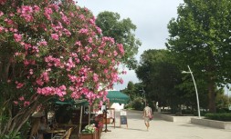 IMG_20180518_162524.jpg