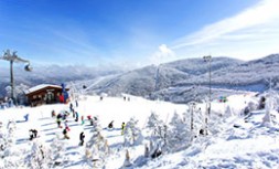Ski Seul 1