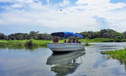 Lake_Gatun_18.jpg
